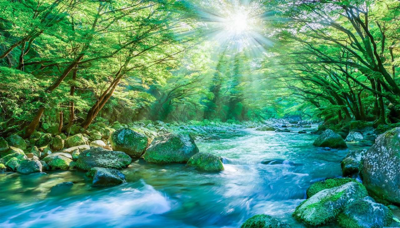 PLATINUM BEAUTY 京都駅前店